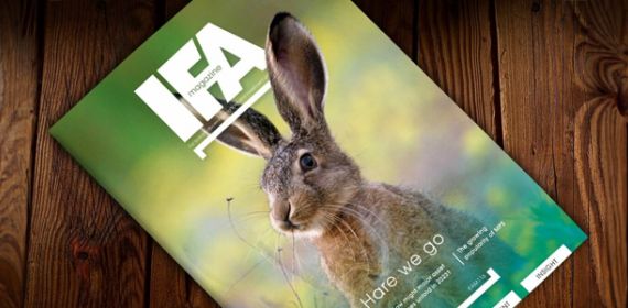 IFA Magazine’s March edition is live now: Hare we go!