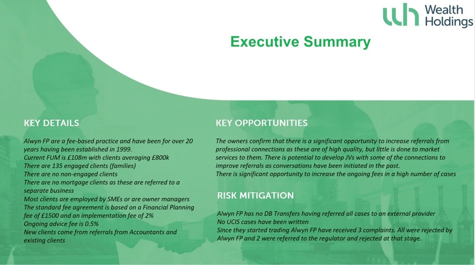 Example Executive Summary of selling firm